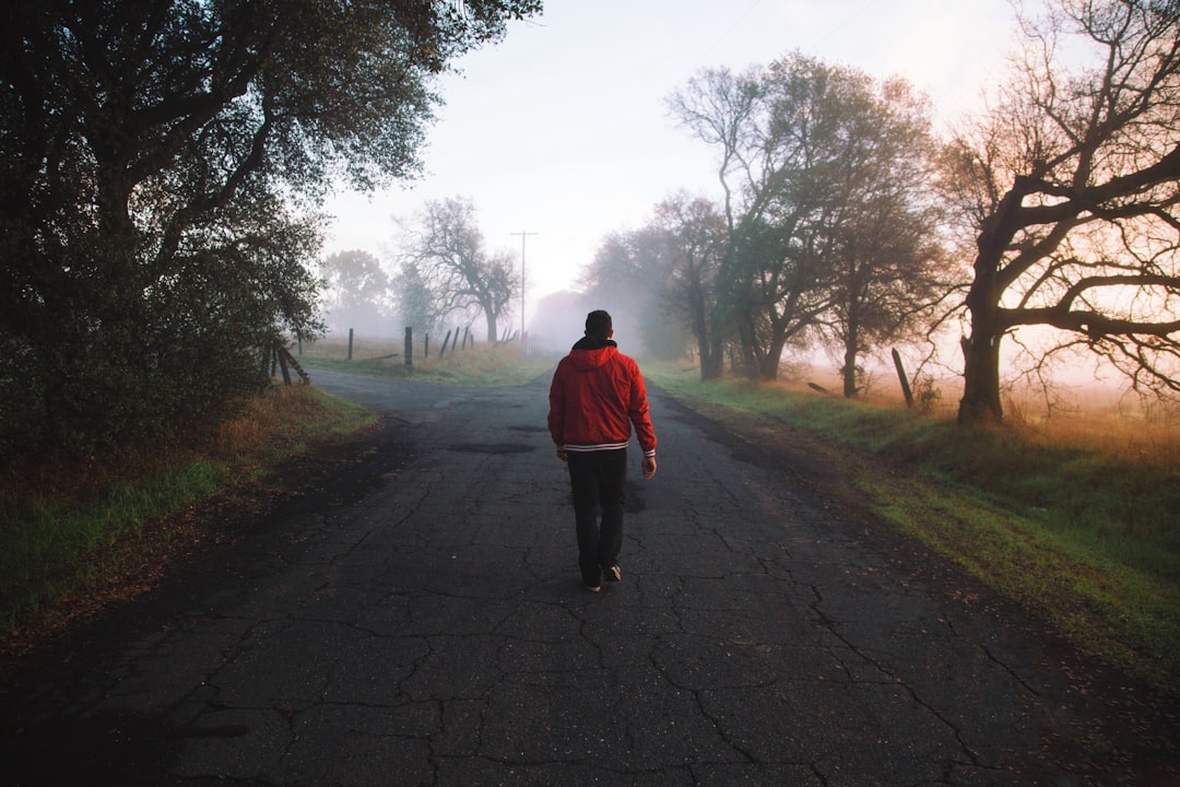 Going for a Short Walk Outside (image credits: unsplash)