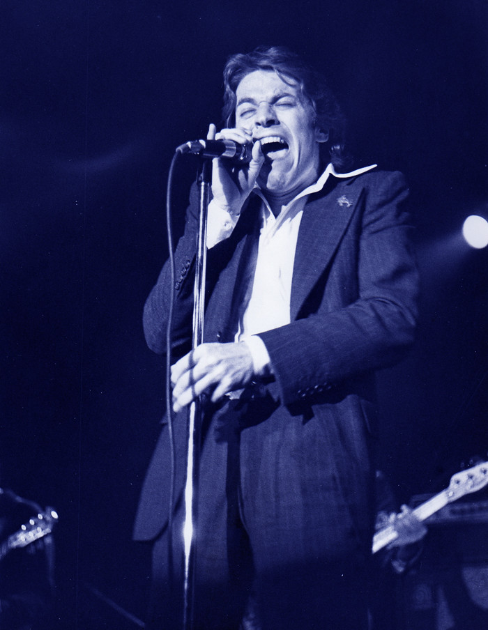 Robert Palmer's