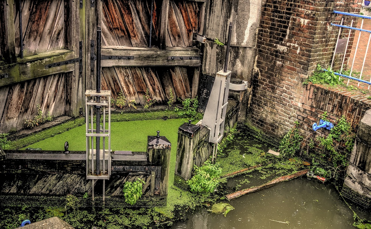 Watergate Scandal (image credits: pixabay)