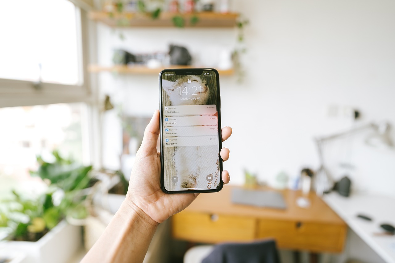 Turn Off Notifications—Except for One App (image credits: pixabay)