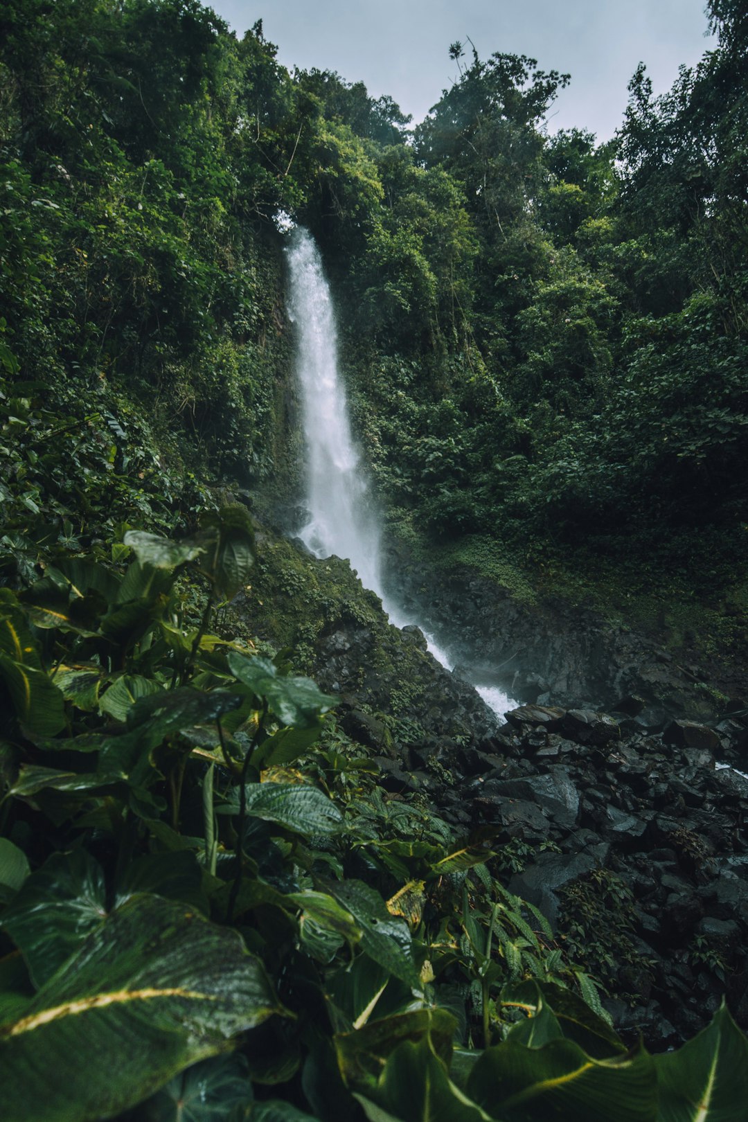 Costa Rica: The Little Green Giant (image credits: unsplash)