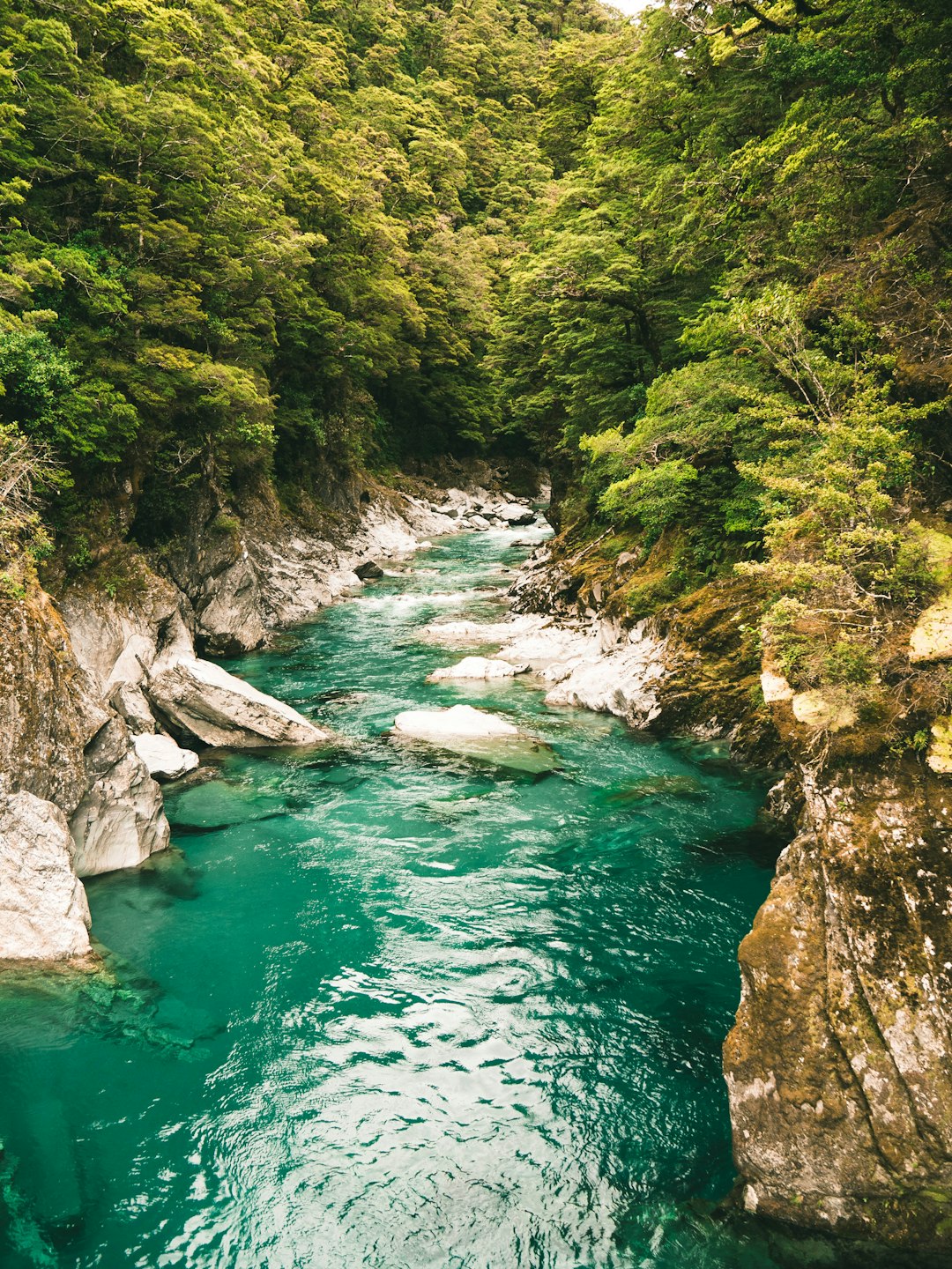 New Zealand: Pure Streams and Mountain Lakes (image credits: unsplash)
