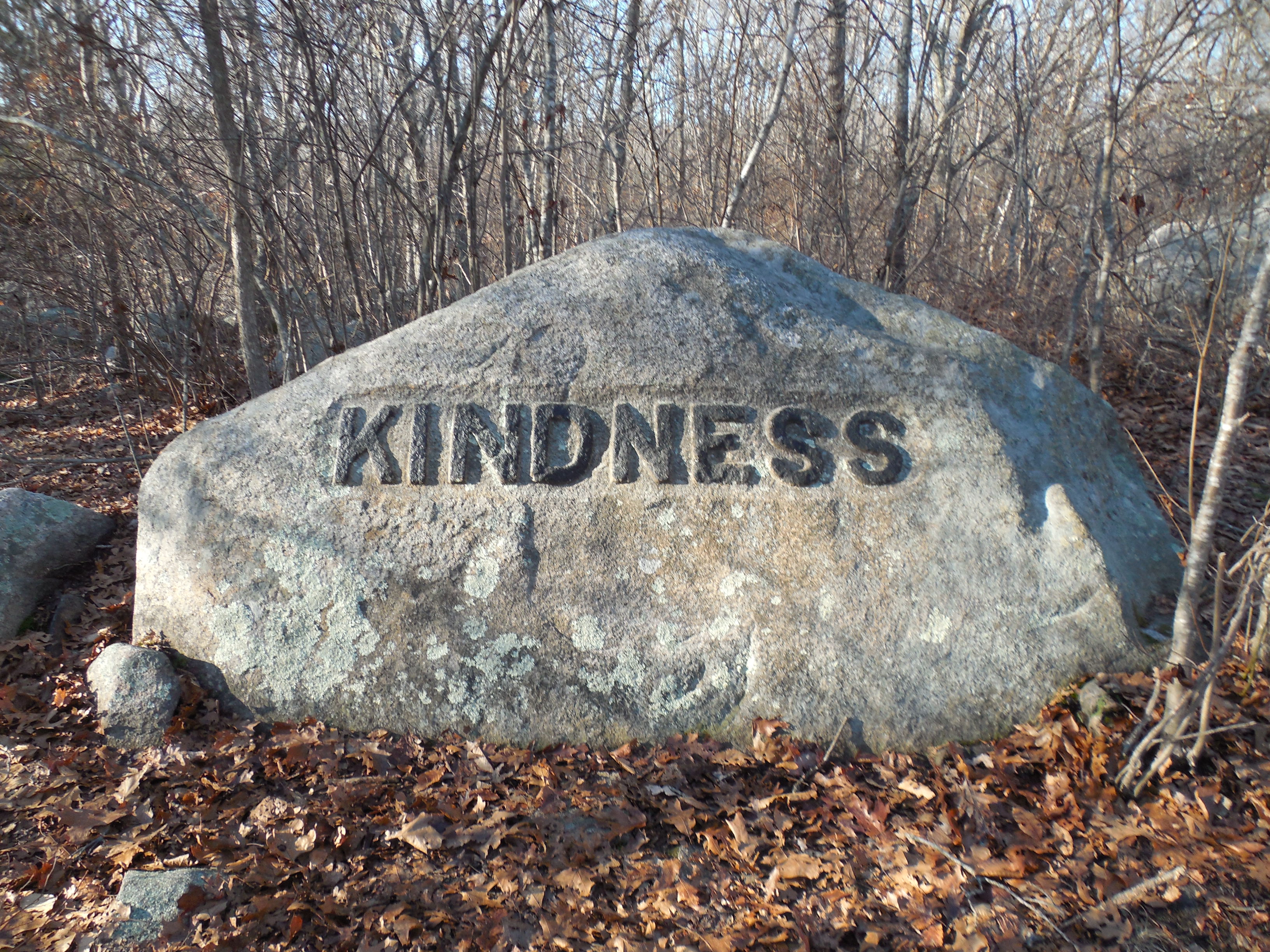 Engaging in Acts of Kindness (image credits: wikimedia)