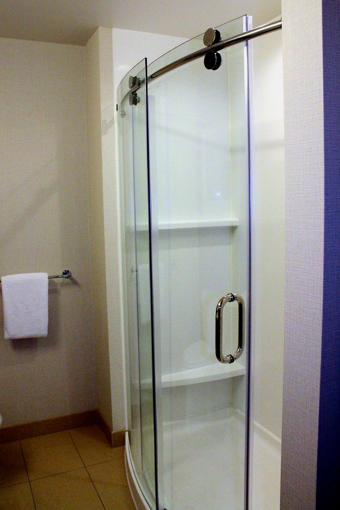 Frosted Glass Shower Doors: A Faded Trend (image credits: flickr)
