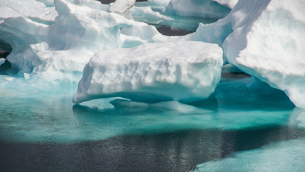 The Unexpected Side of a Warming World (image credits: pixabay)