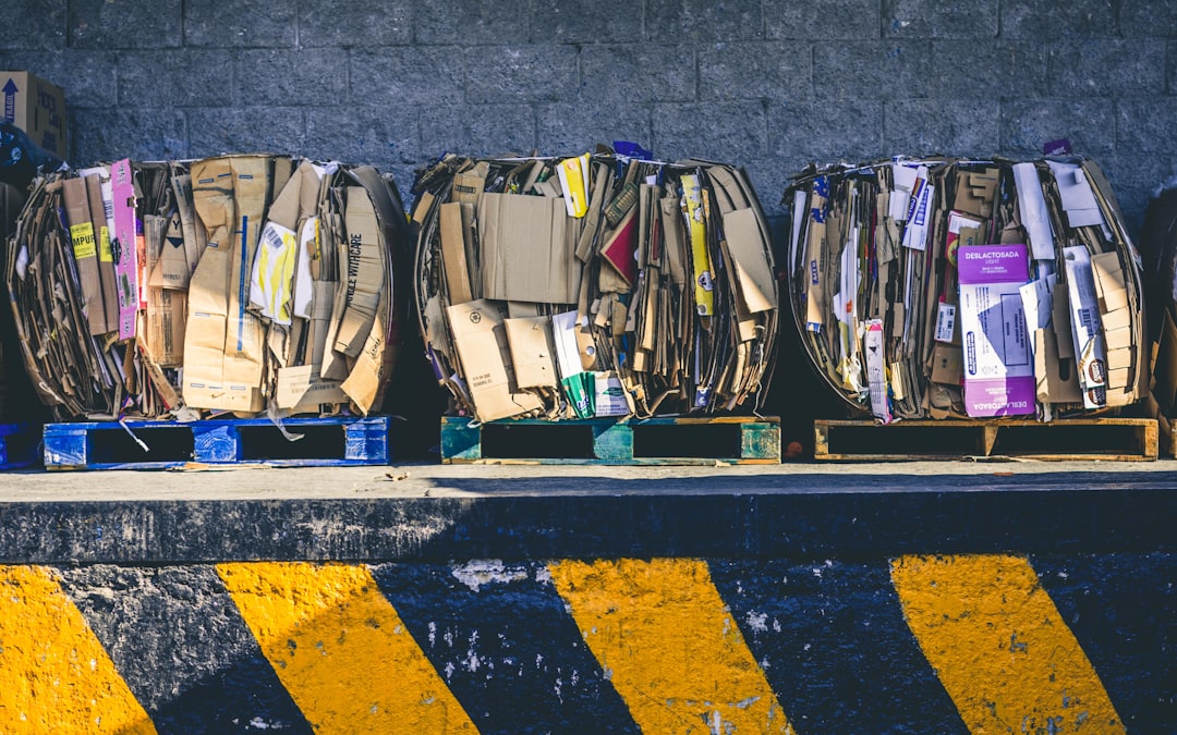 Waste Sorting: A Global Perspective (image credits: unsplash)