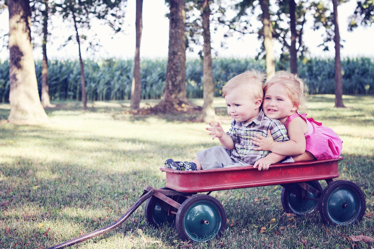 Celebrate Differences (image credits: unsplash)