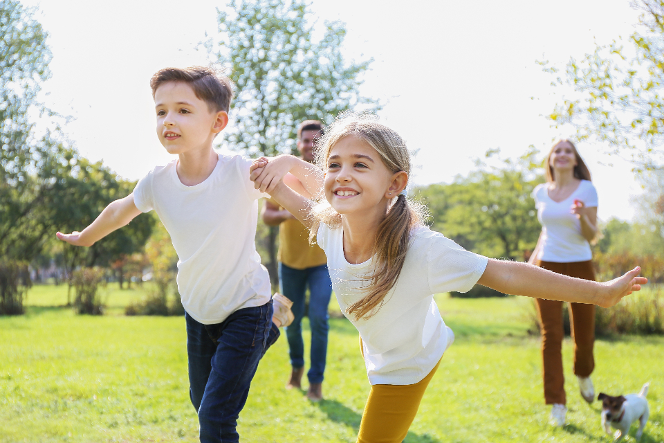 Physical Play as the Foundation for Academic Success (image credits: stocksnap)