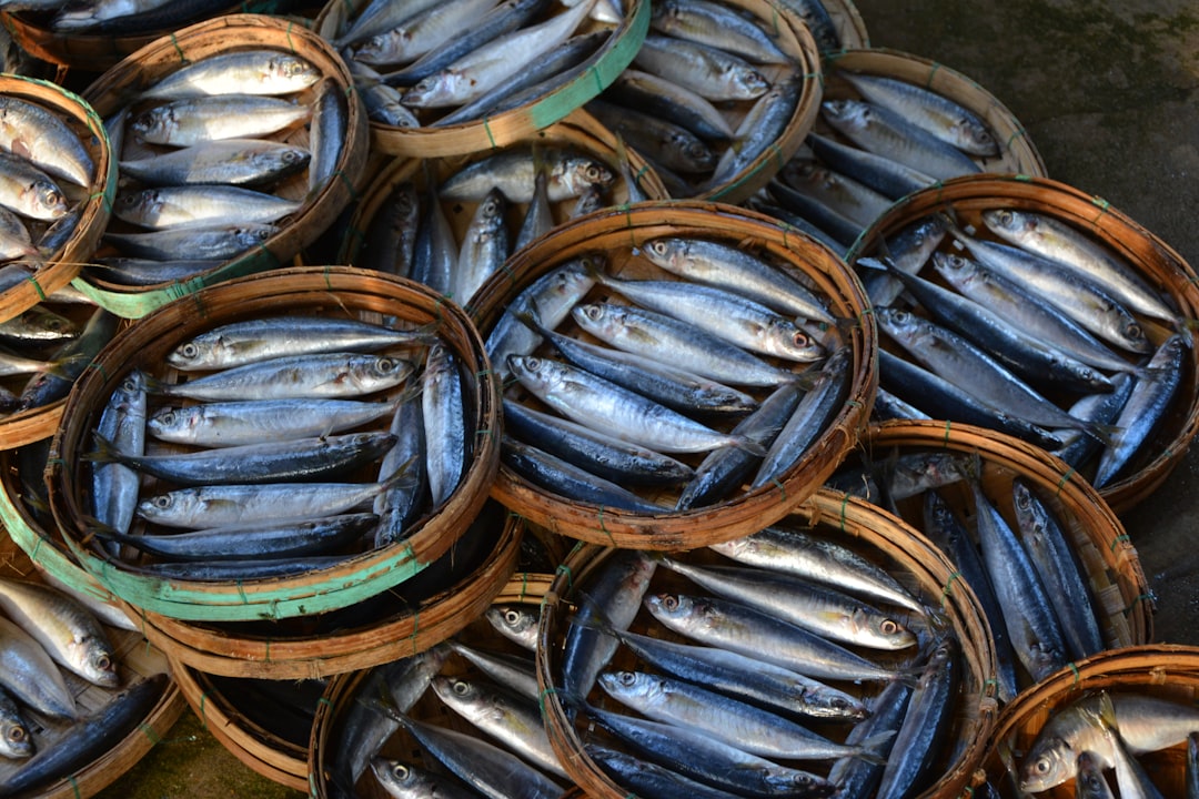 Sardines: Small Fish, Big Benefits (image credits: unsplash)
