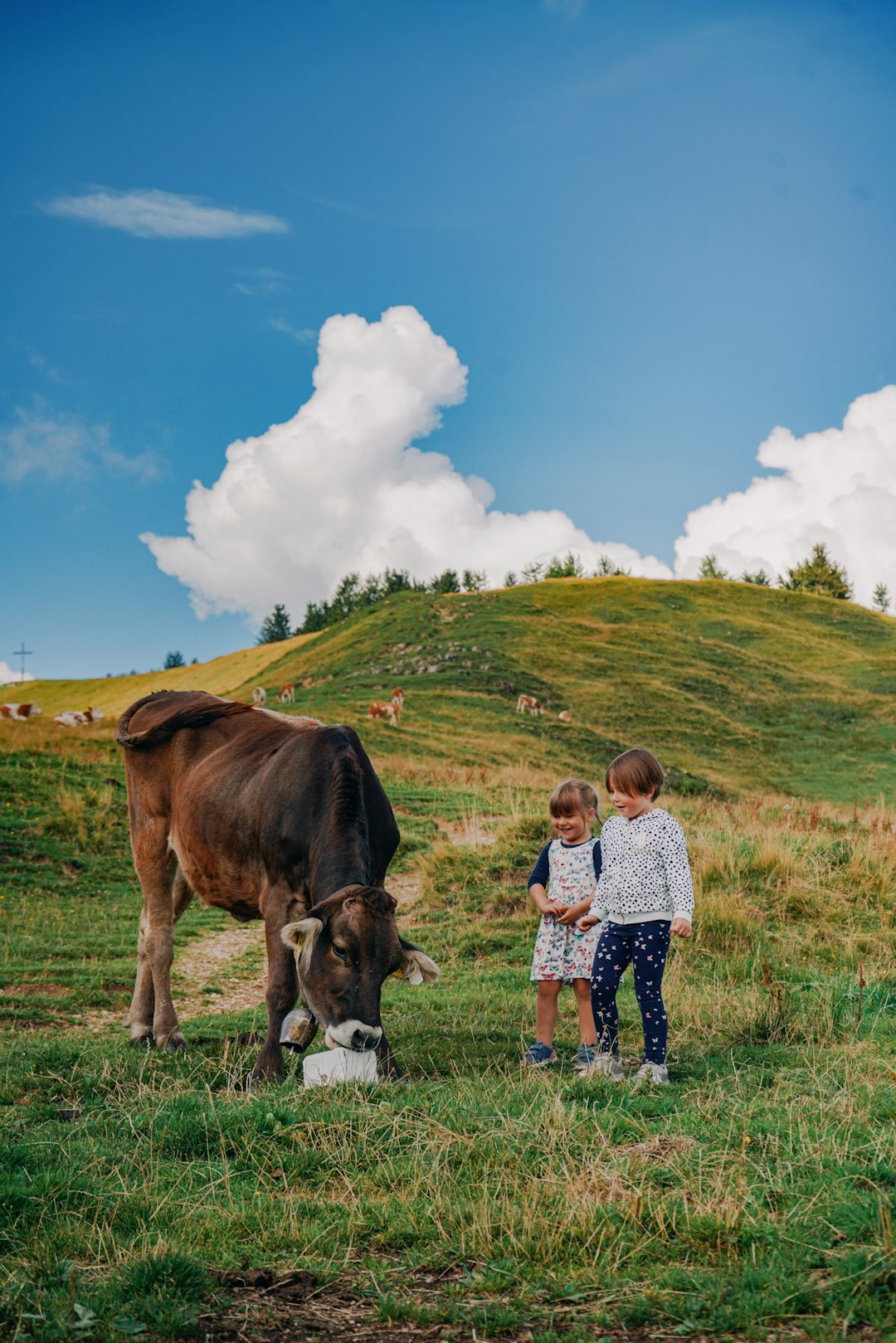 Turning the World Into a Classroom (image credits: unsplash)