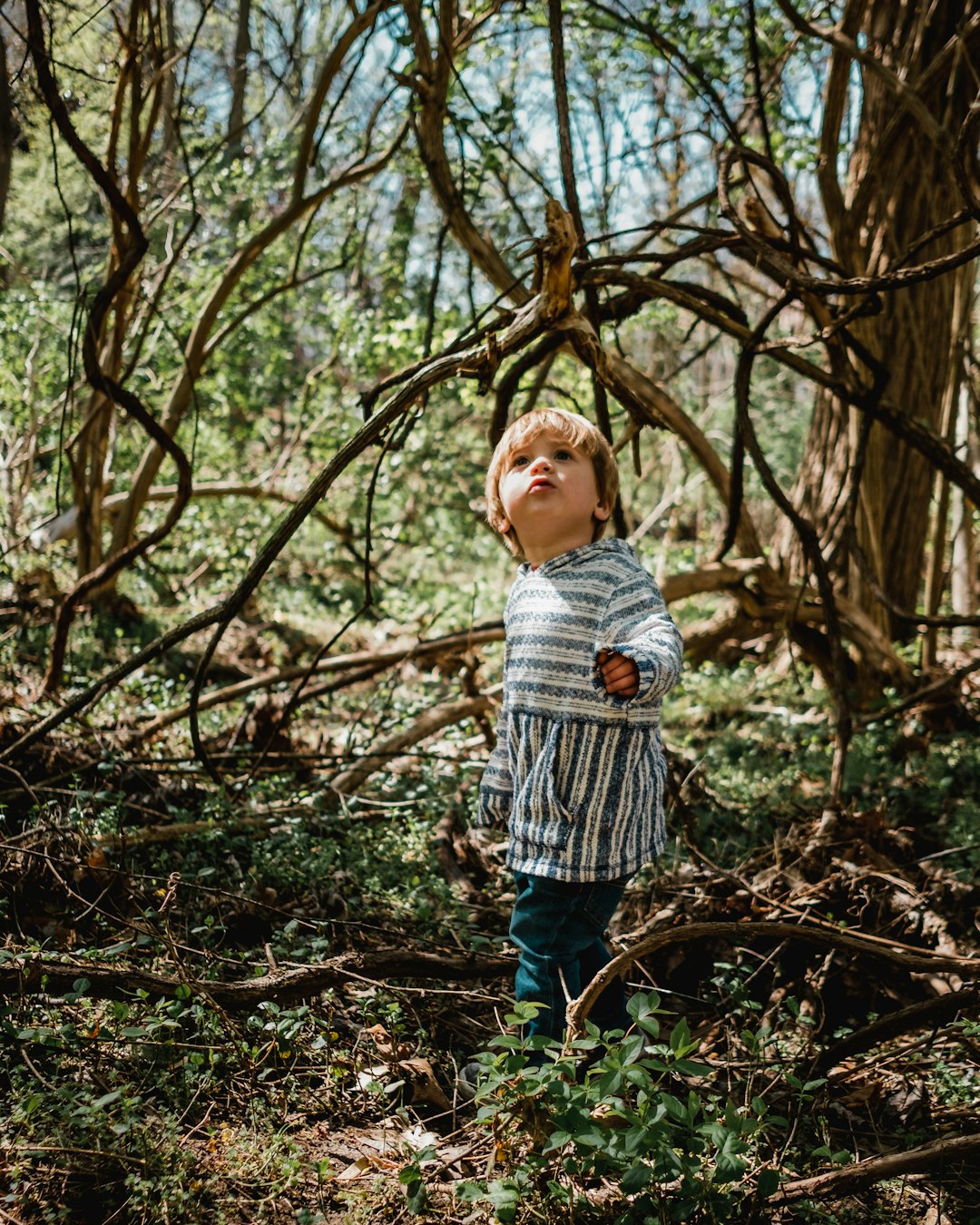 4. Encouraging Curiosity and Exploration (image credits: unsplash)