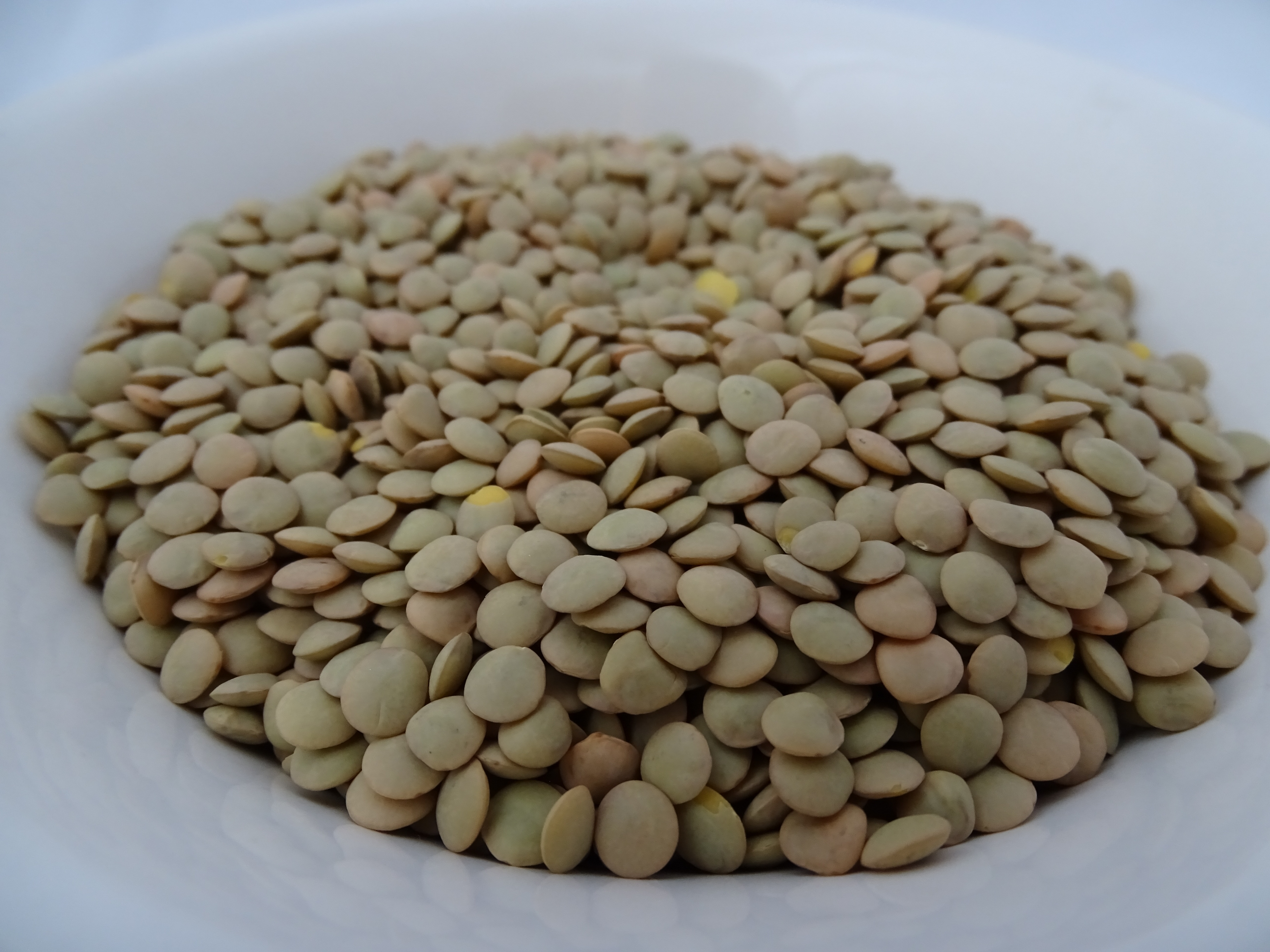 Lentils: The Protein and Fiber Champion (image credits: wikimedia)