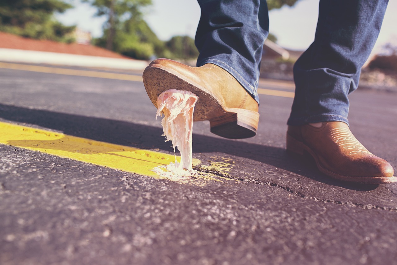 1. Natural Problem Solvers (image credits: pixabay)