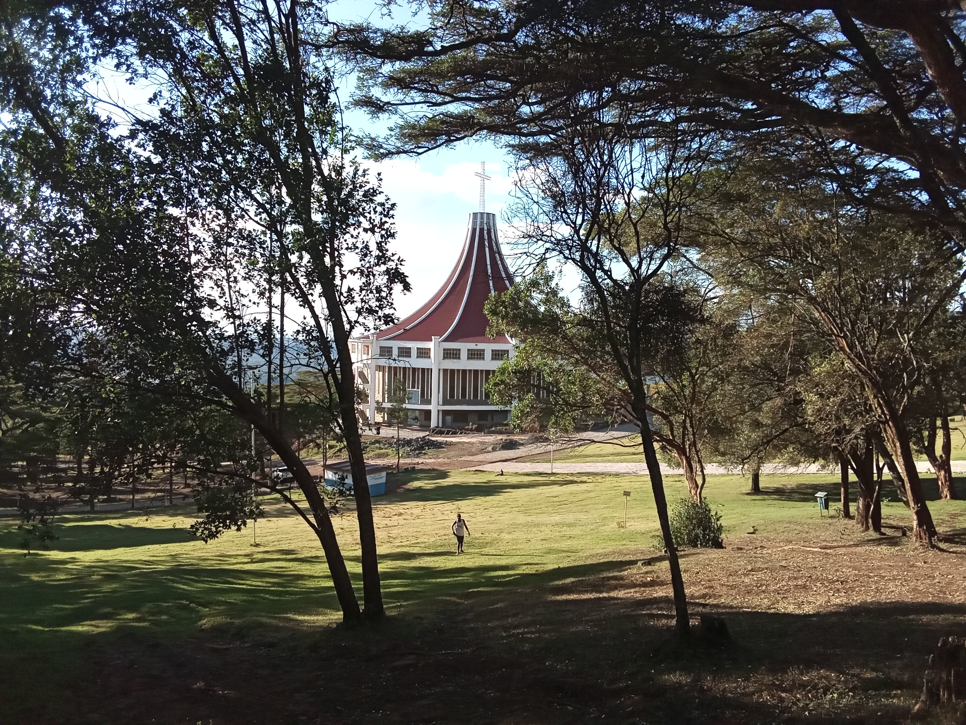 Connect with Nature (image credits: wikimedia)