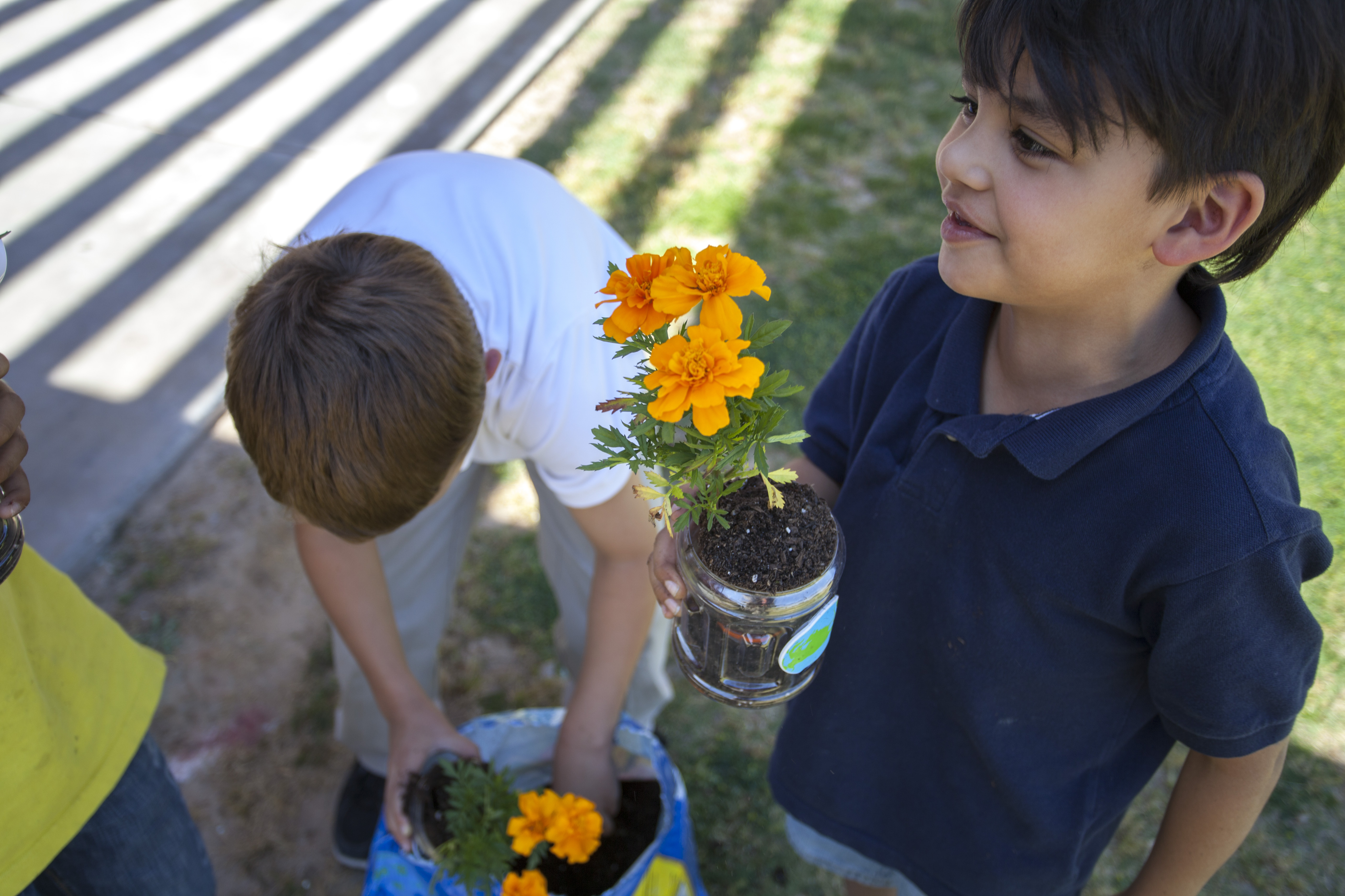 Cultivate Gratitude (image credits: wikimedia)
