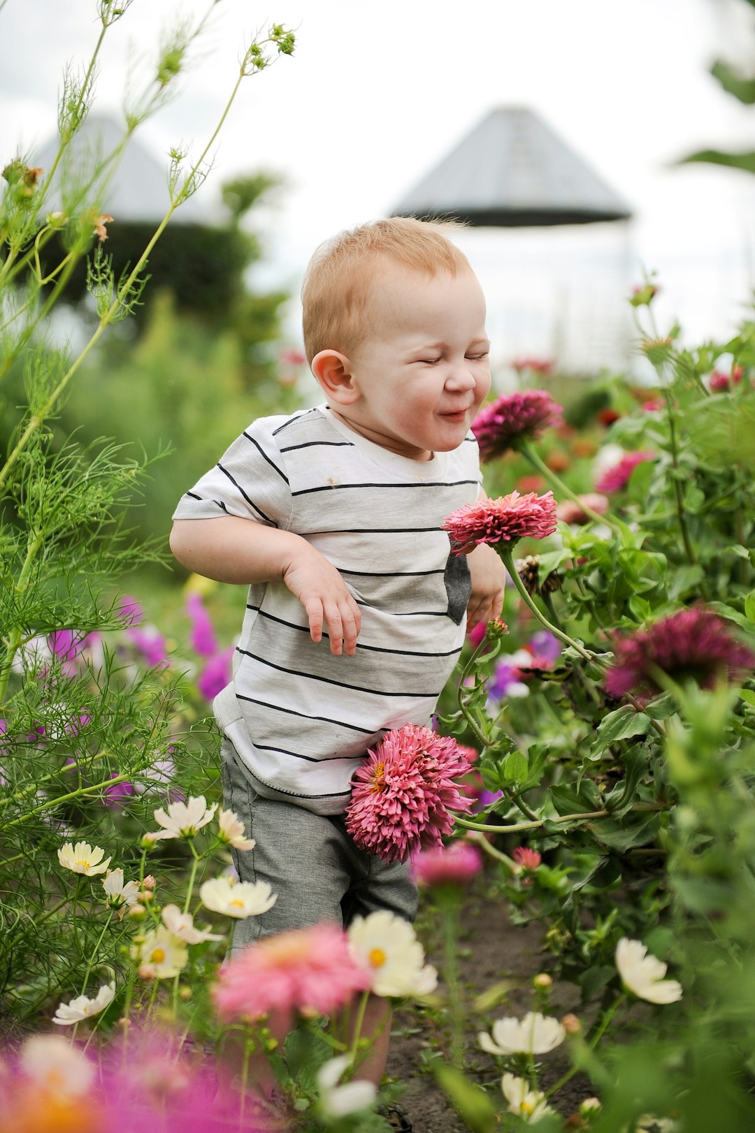 10. Scent Discovery (image credits: unsplash)