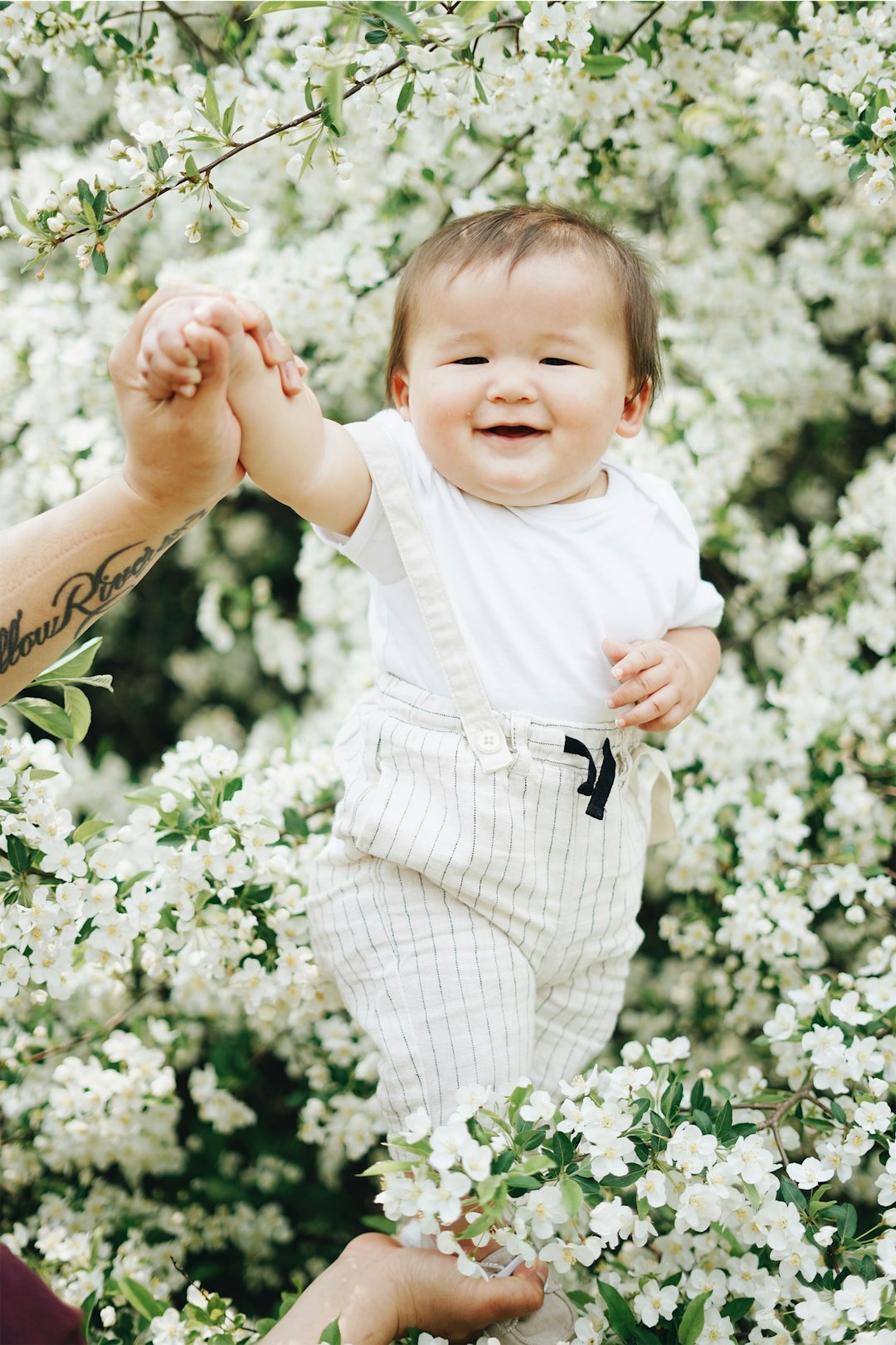 The First Independent Steps (image credits: unsplash)