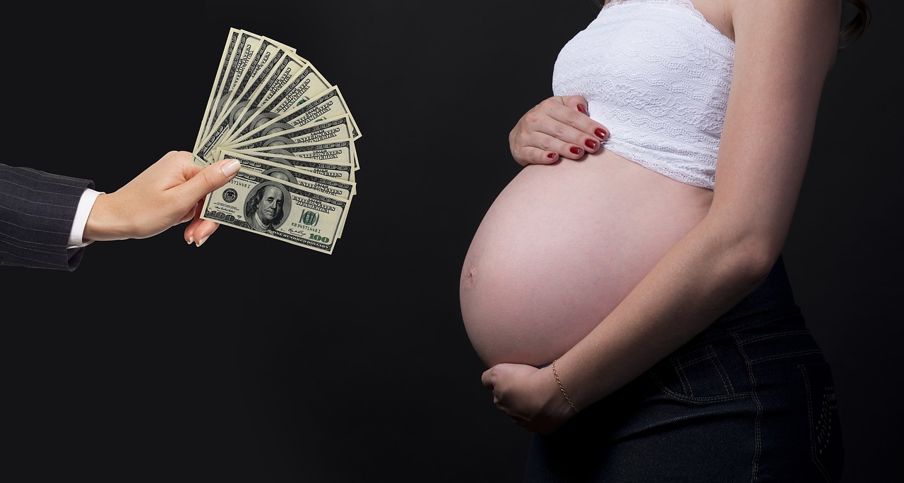 The Use of Surrogacy (image credits: pixabay)