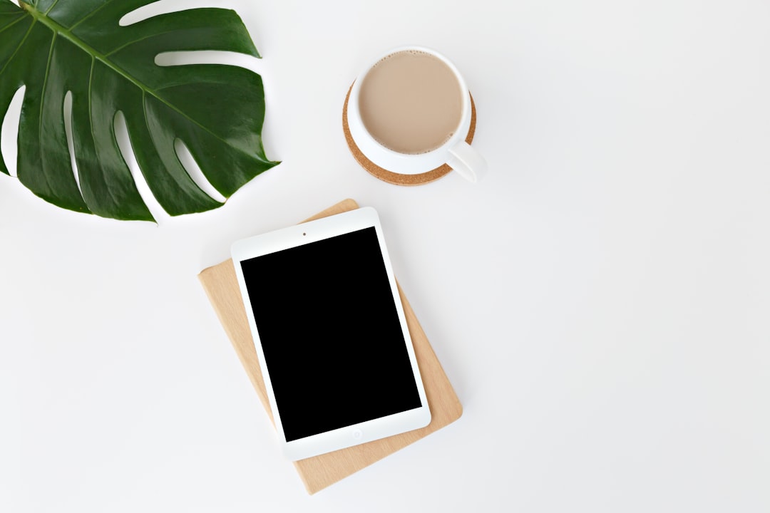 The Power of a Digital Detox (image credits: unsplash)