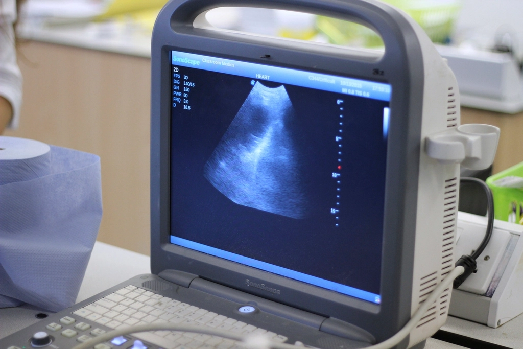AI in Labor Monitoring: Continuous, Accurate, and Predictive (image credits: rawpixel)