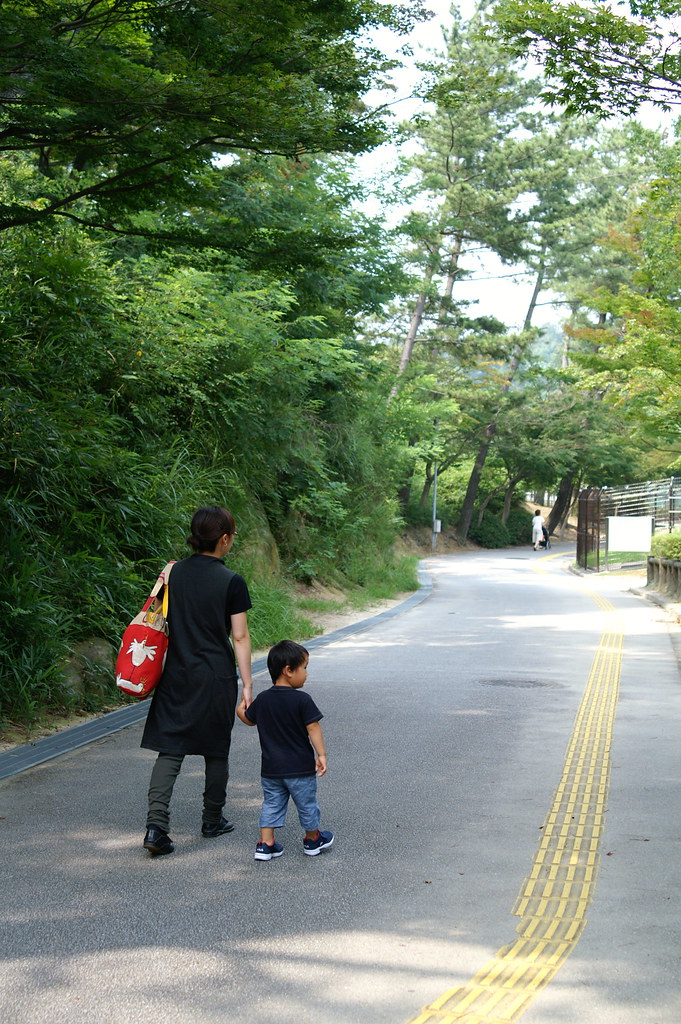 The Transition Dilemma That Terrifies Parents (image credits: flickr)