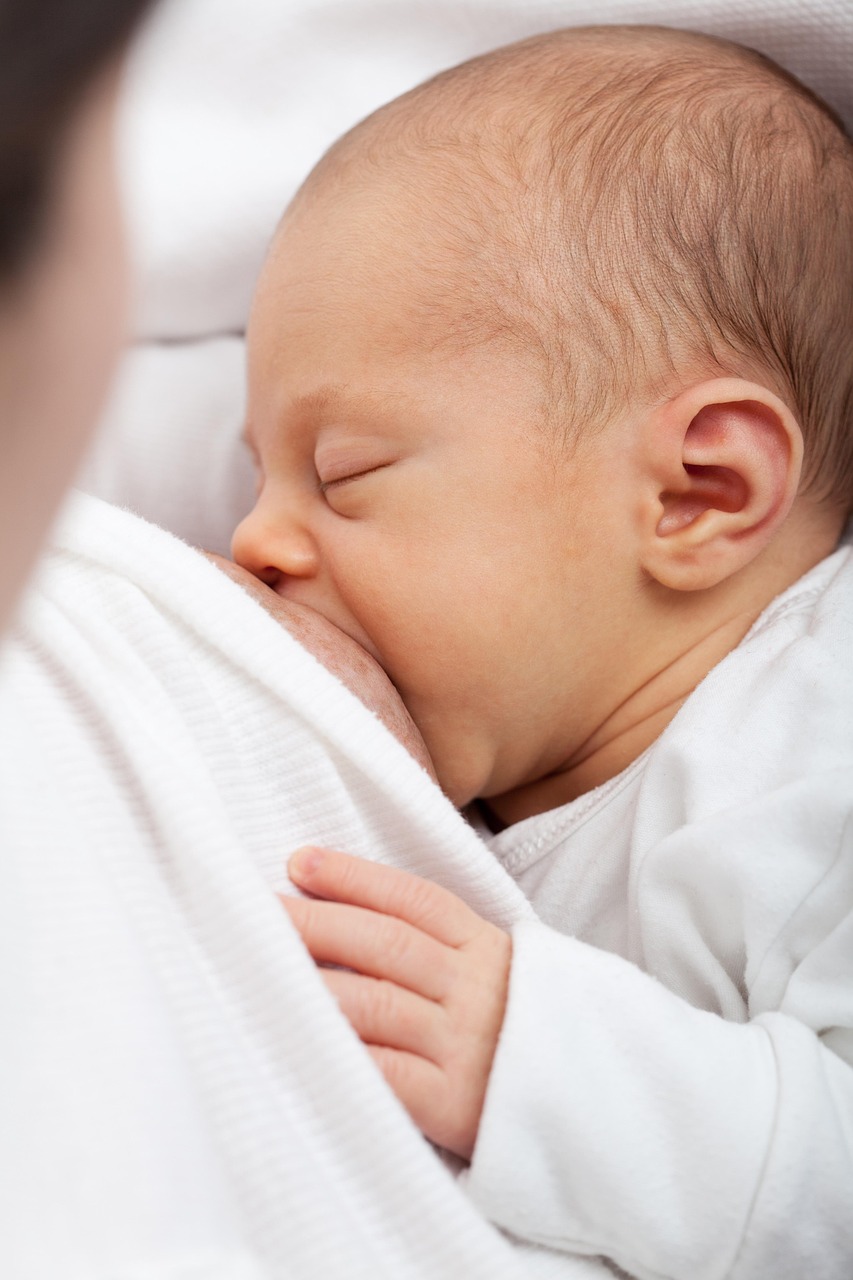 Why Breastfeeding Mothers Are Leading the Trend (image credits: pixabay)