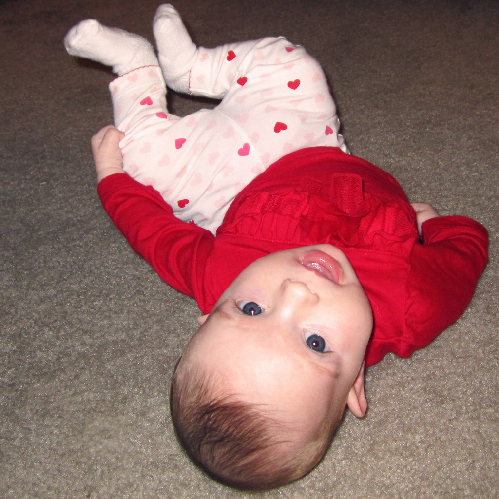 Rolling Over - The Great Escape Artist Emerges (image credits: flickr)