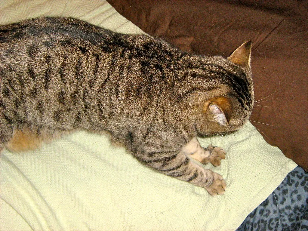When It's Worth Paying Closer Attention (mikes rite, Flickr, CC BY 2.0)