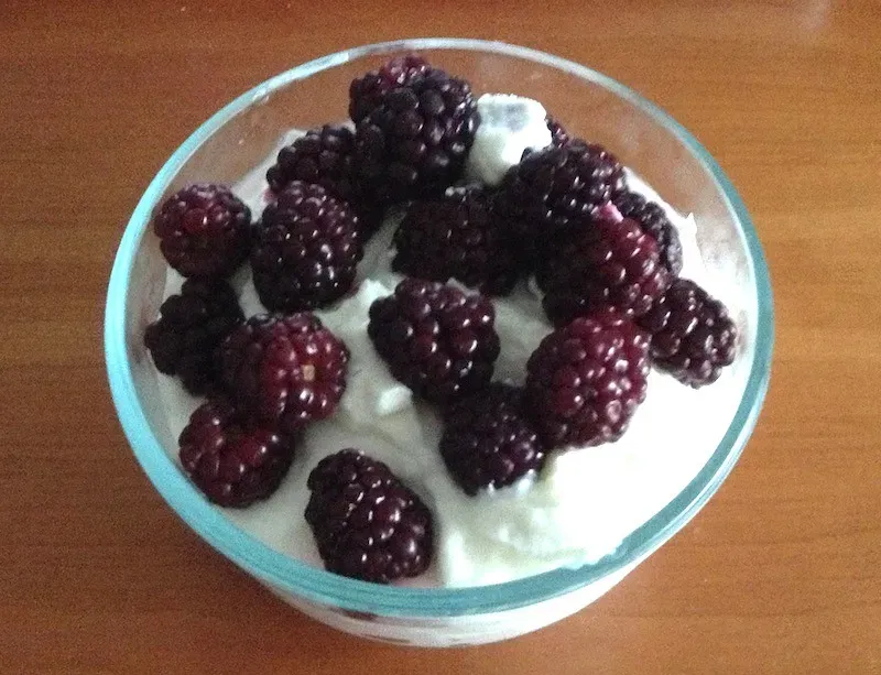 2. Plain Greek Yogurt With Berries (Jose C Silva, Flickr, <a href="https://creativecommons.org/licenses/by/2.0/" target="_blank" rel="noopener">CC BY 2.0</a>)