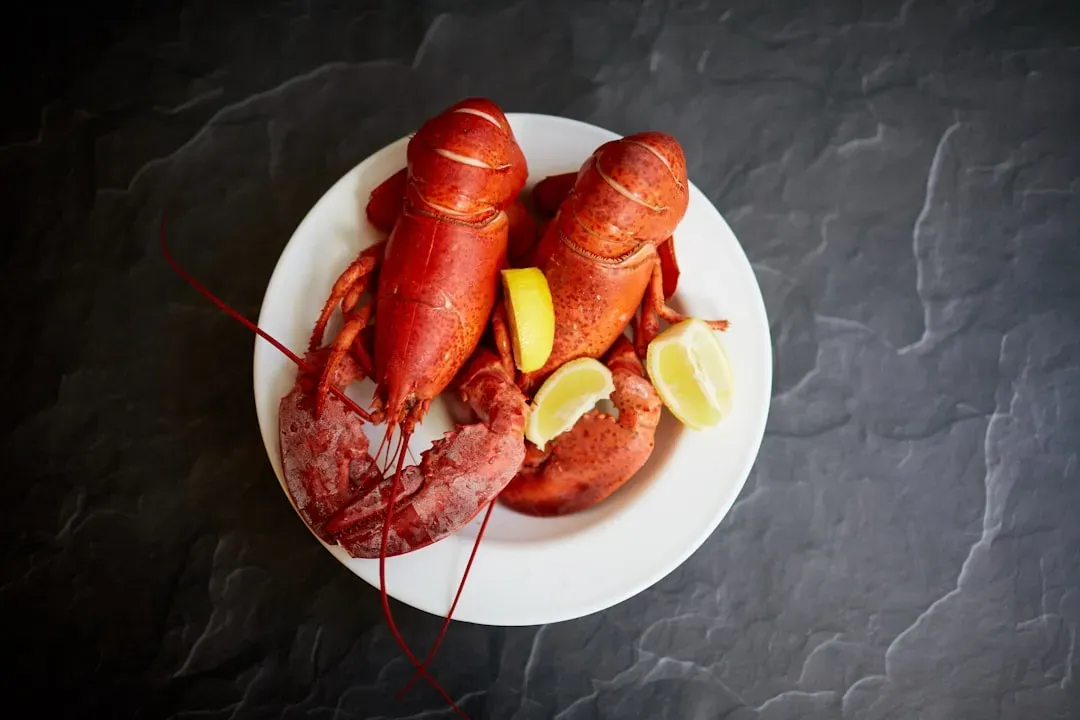 1. Lobster (Image Credits: Unsplash)