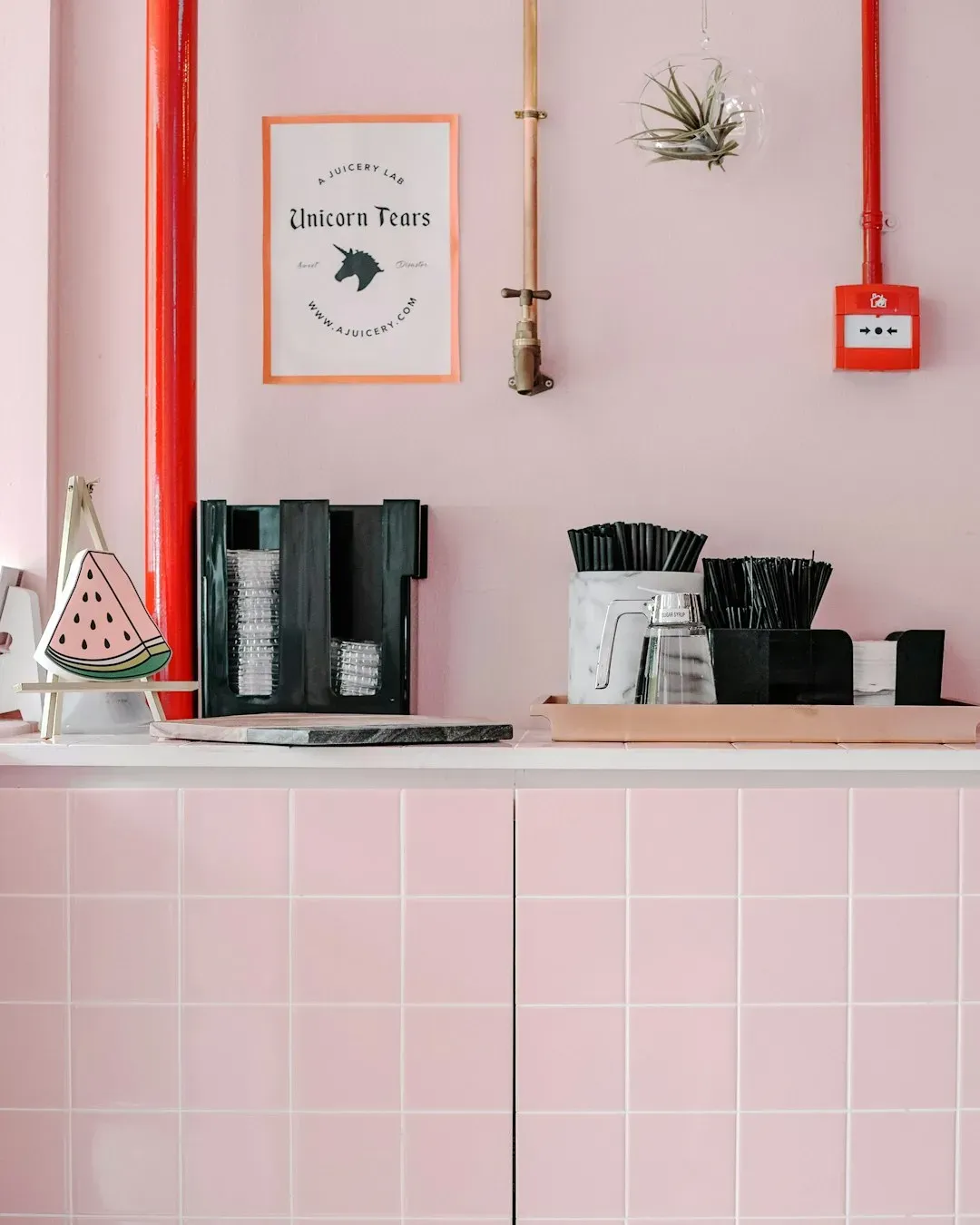 4. Pale pink and Millennial pink (Image Credits: Unsplash)