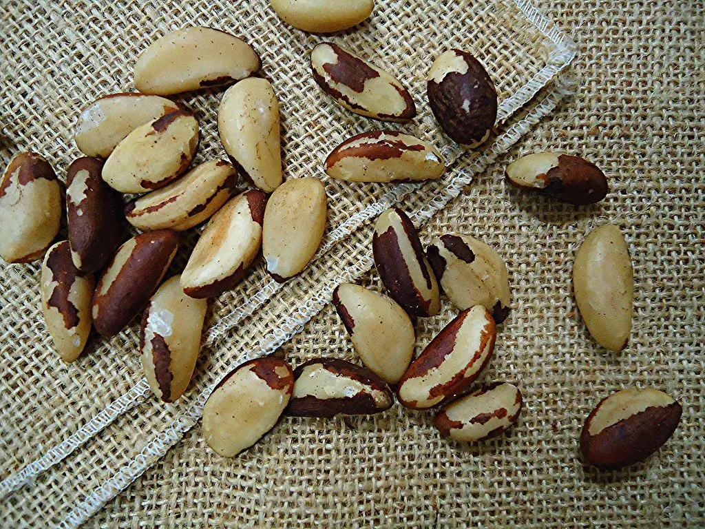Brazil Nuts: One or Two a Day, and Nothing Else Comes Close (Mauro Cateb, Flickr, <a href="https://creativecommons.org/licenses/by-sa/2.0/" target="_blank" rel="noopener">CC BY-SA 2.0</a>)