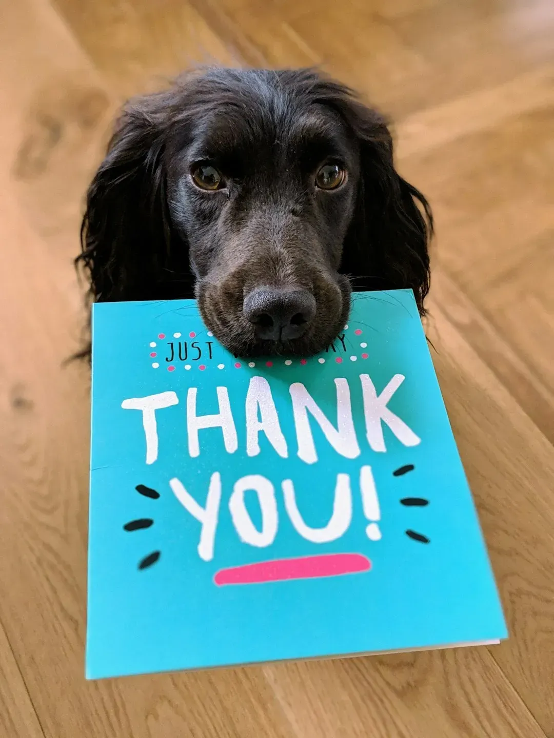 9. "You need to write a proper thank you note" (Image Credits: Unsplash)