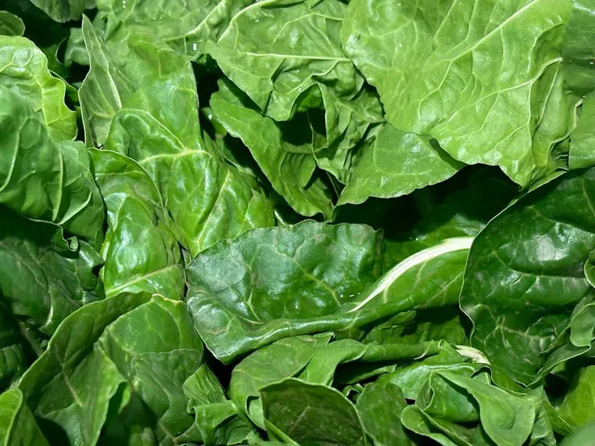 4. Spinach (Image Credits: Pexels)