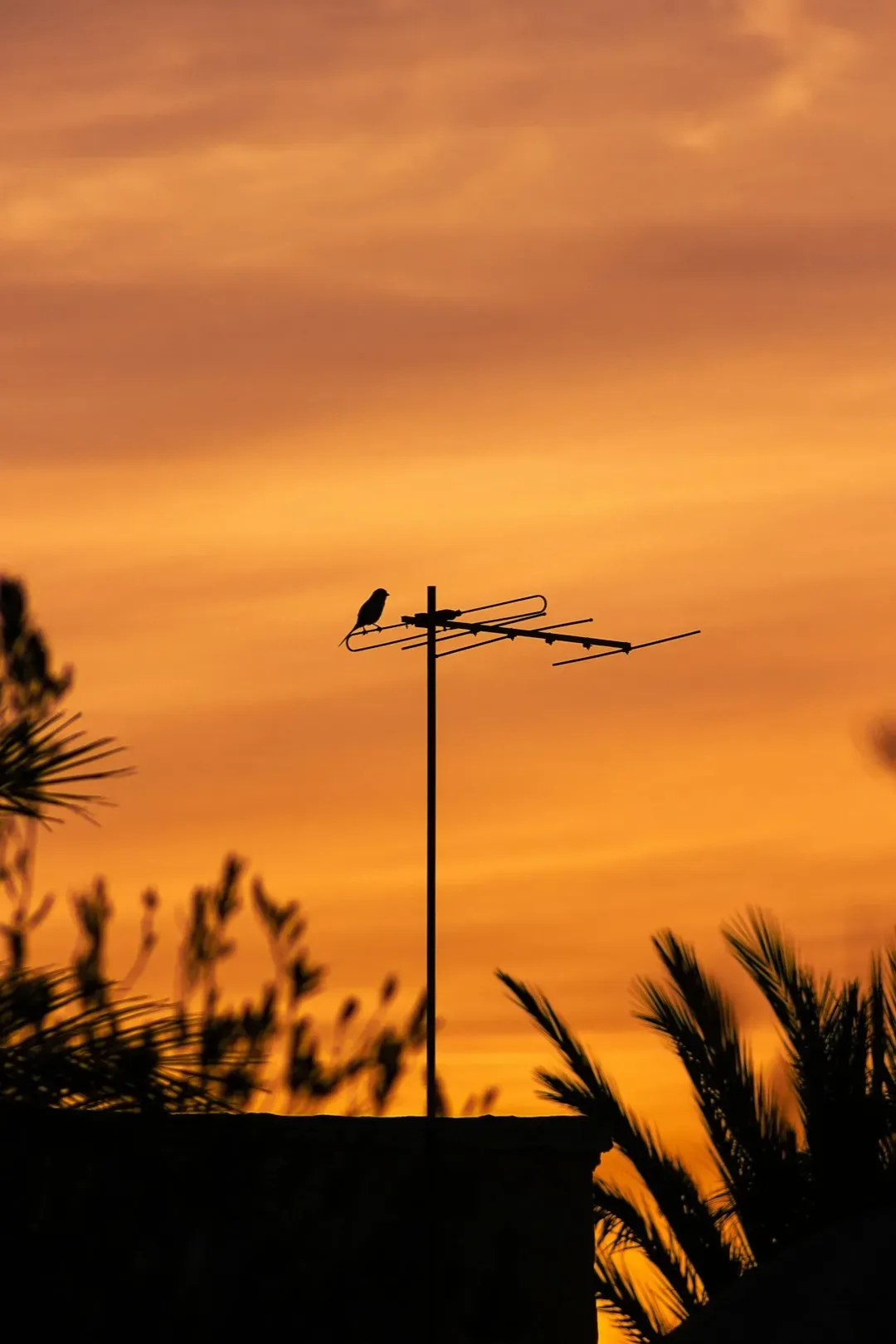 7. Using a TV Antenna and Getting Up to Change the Channel (Image Credits: Unsplash)