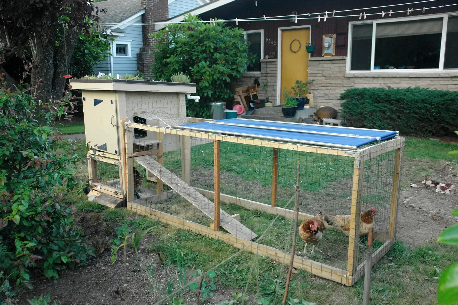 6. Backyard chicken coops and small livestock pens (DSC03385, <a href="https://commons.wikimedia.org/w/index.php?curid=5861751" target="_blank" rel="noopener">CC BY-SA 2.0</a>)