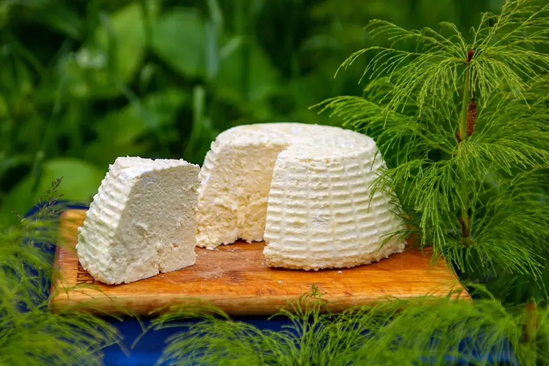 4. Soft cheeses with any mold growth (Image Credits: Unsplash)