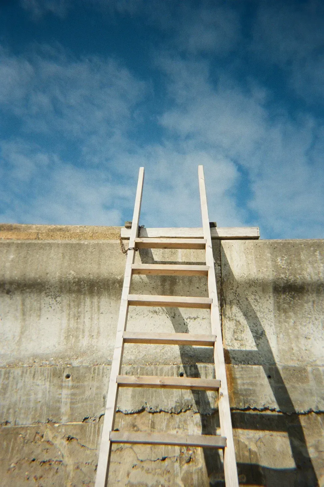 3. Ladders, tools, and lawn equipment left out overnight (Image Credits: Unsplash)