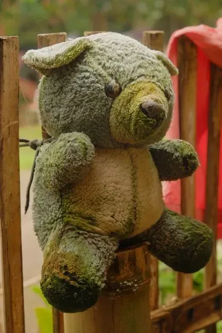 2. Well worn stuffed animals (Image Credits: Pexels)