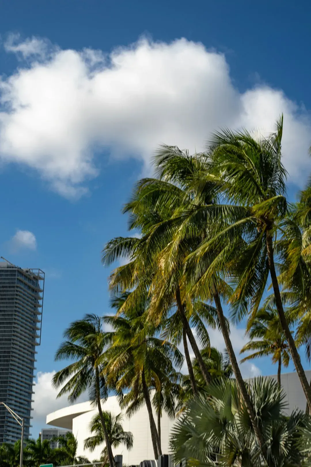 10. Oppressive Heat and Humidity Take a Physical Toll (Image Credits: Unsplash)