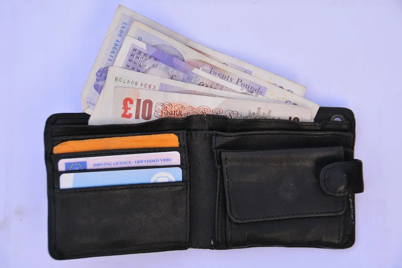 2. They're Only Ever Making Minimum Credit Card Payments (Image Credits: Pixabay)