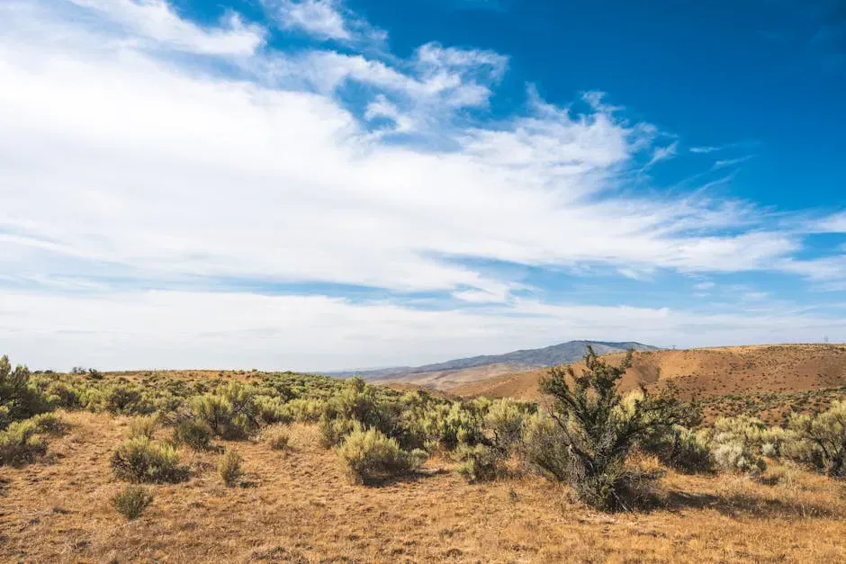 Idaho: The Mountain West's Most Consistent Magnet (Image Credits: Pexels)