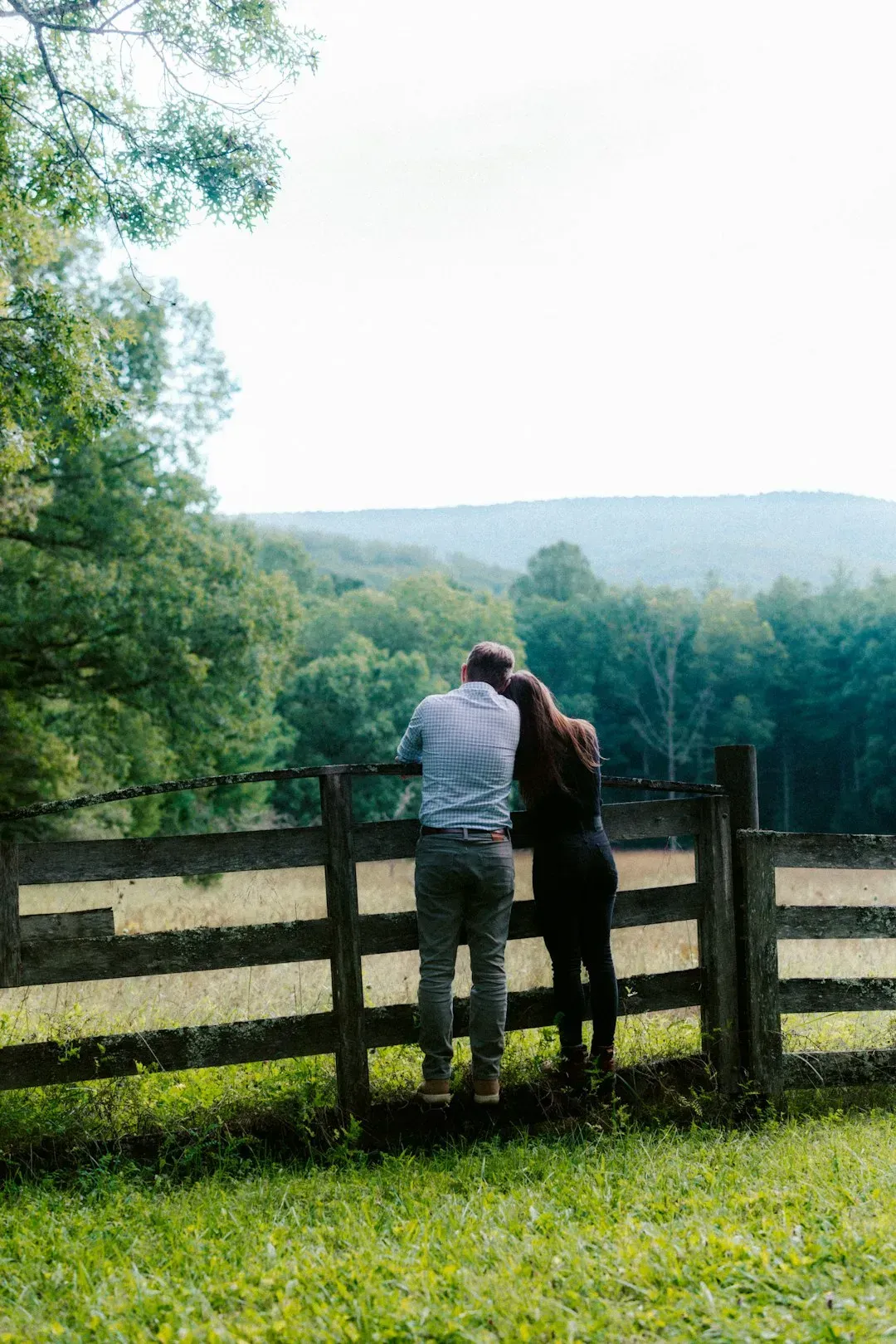 5. A shared boundary fence belongs entirely to whoever built it (Image Credits: Unsplash)