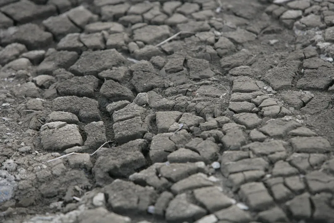 Water Scarcity: The Hidden Pressure on Your Grocery Bill (Image Credits: Unsplash)