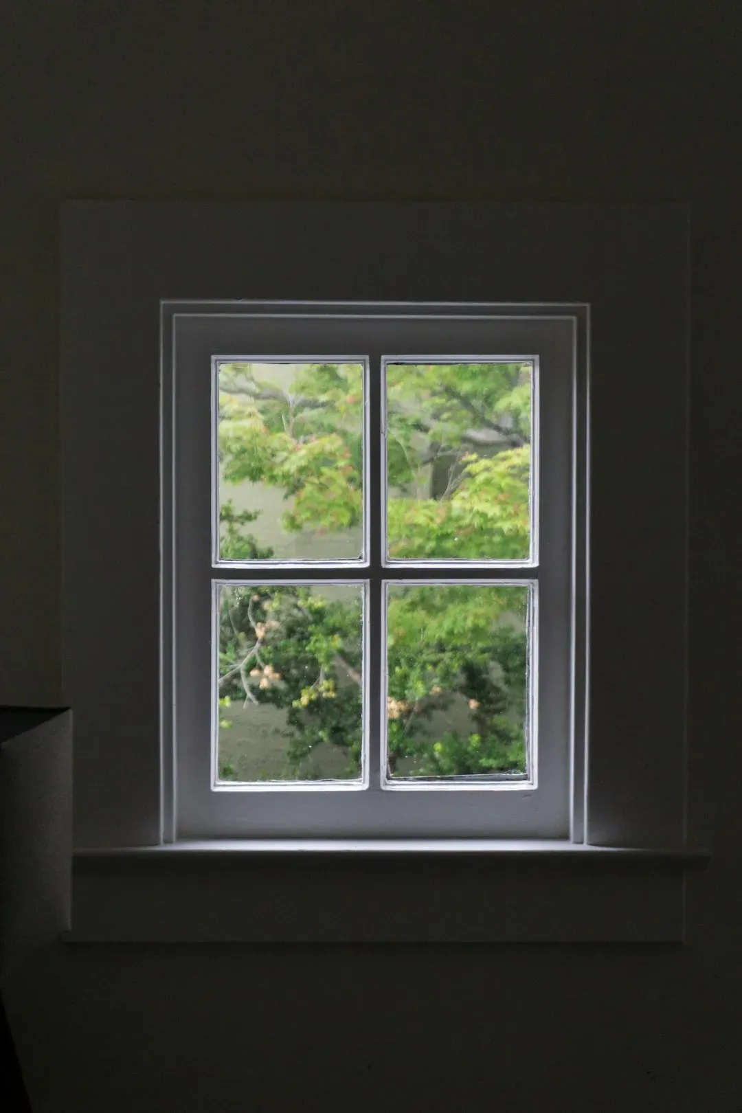 3. Energy-Efficient Windows and Appliances (Image Credits: Unsplash)