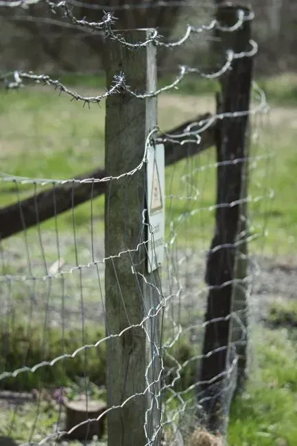 7. Boundary disputes are rare and always settle themselves (Image Credits: Pexels)