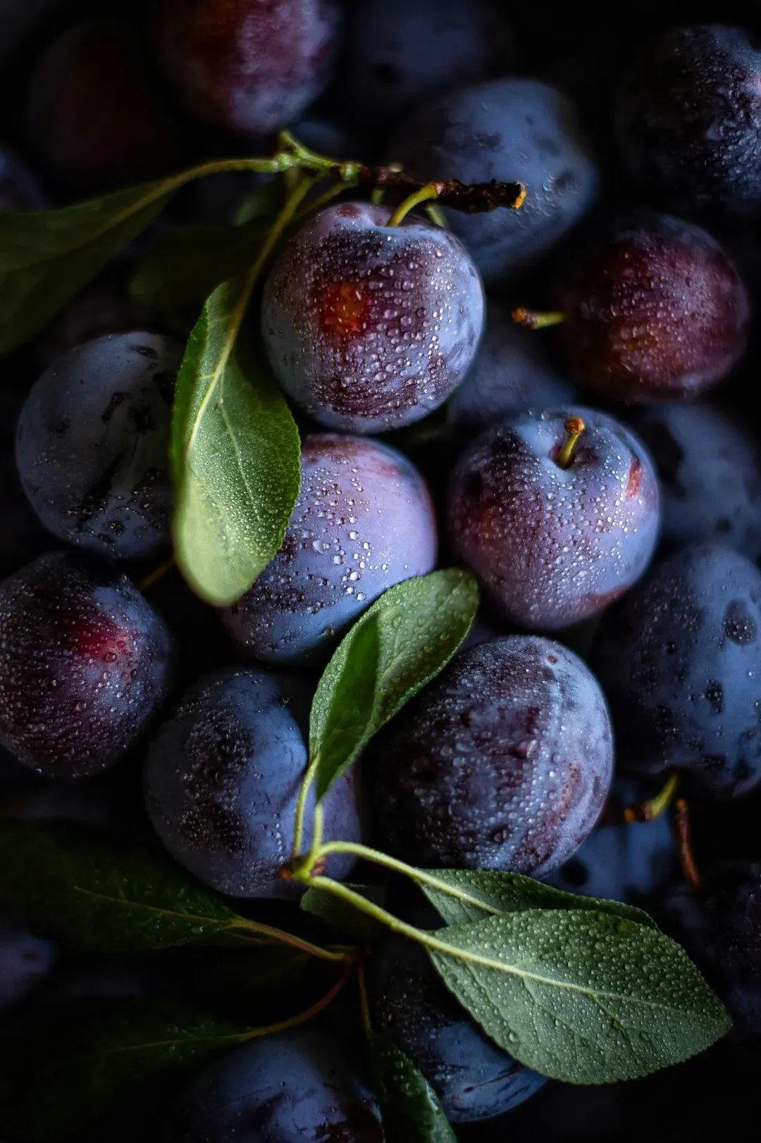 9. Plums (Image Credits: Unsplash)