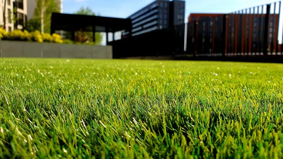 4. Overlooking a slightly late lawn mow or unkempt stoop (Image Credits: Unsplash)