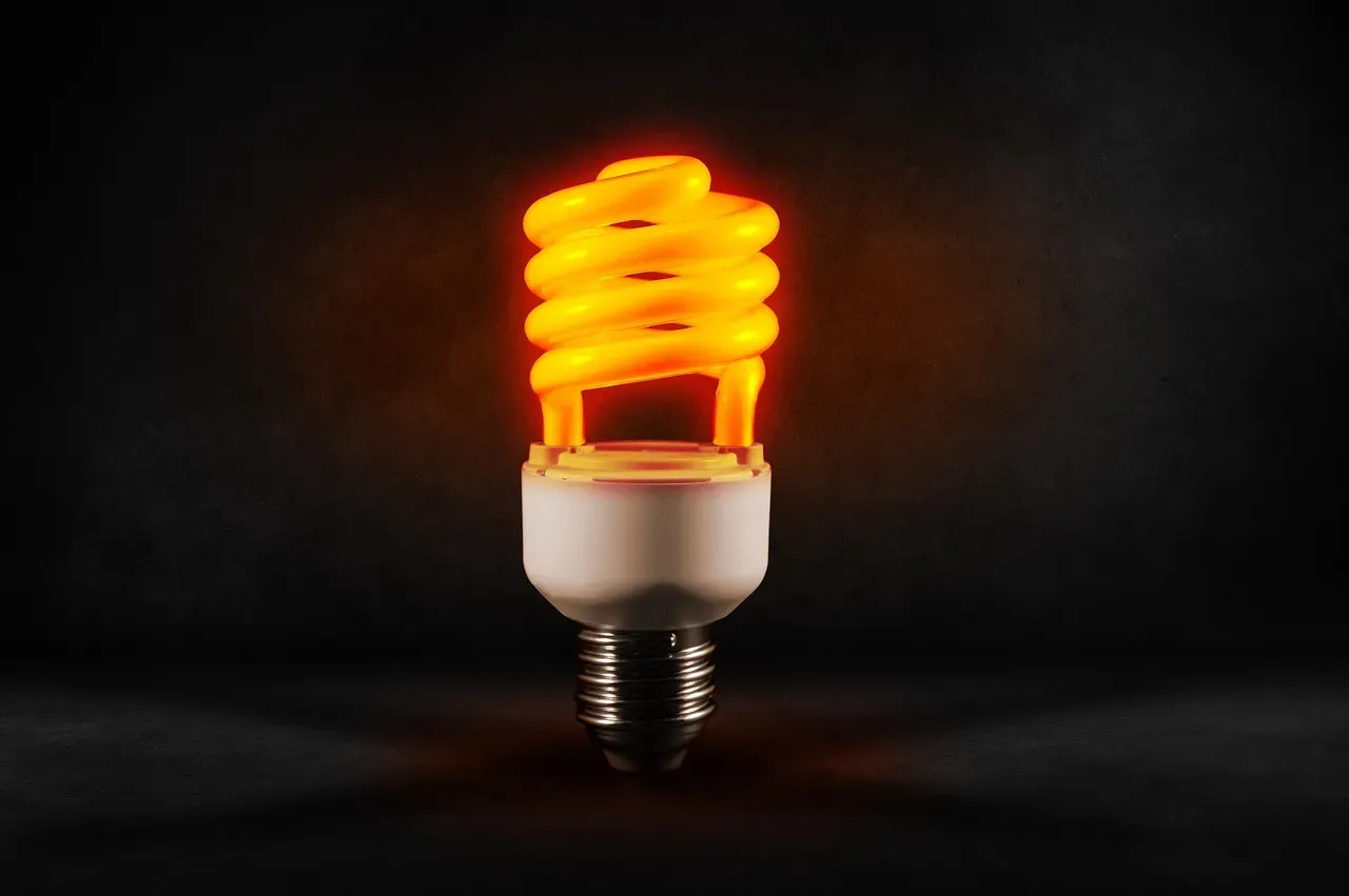 CFL and Fluorescent Light Bulbs (Image Credits: Pixabay)