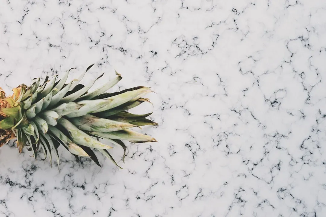 3. Plain White Quartz with No Movement or Texture (Image Credits: Unsplash)